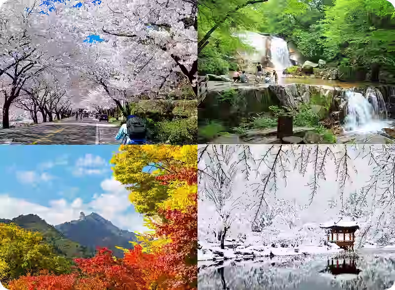 Four Season