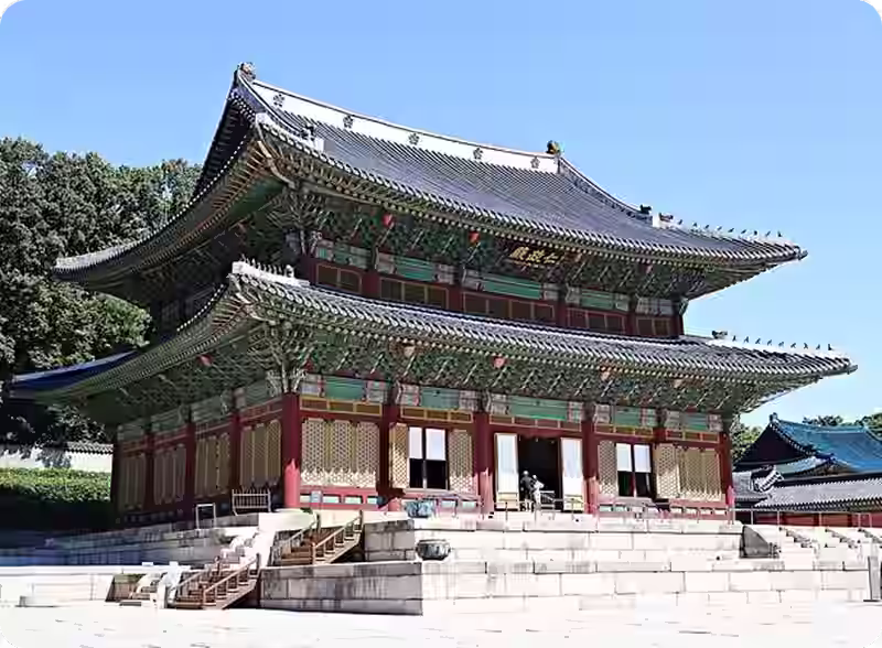 History & Cultivation