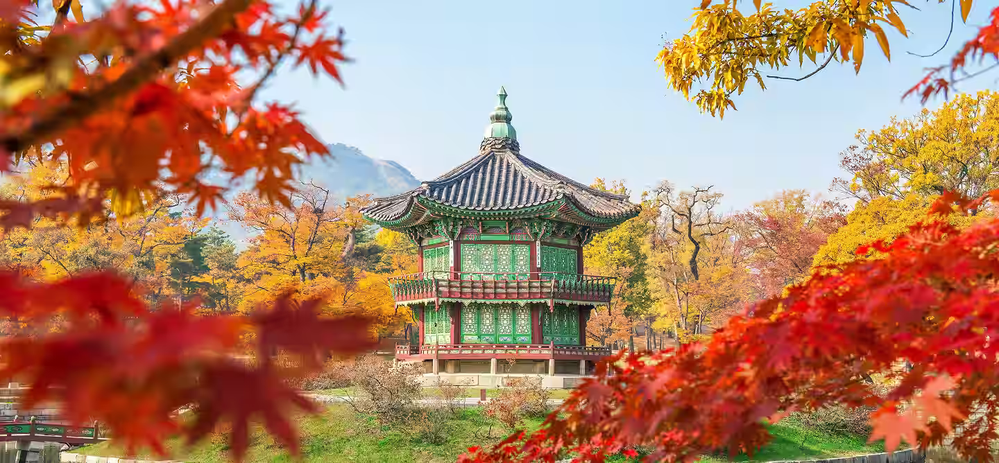 Curated Korean Experiences, Crafted for You