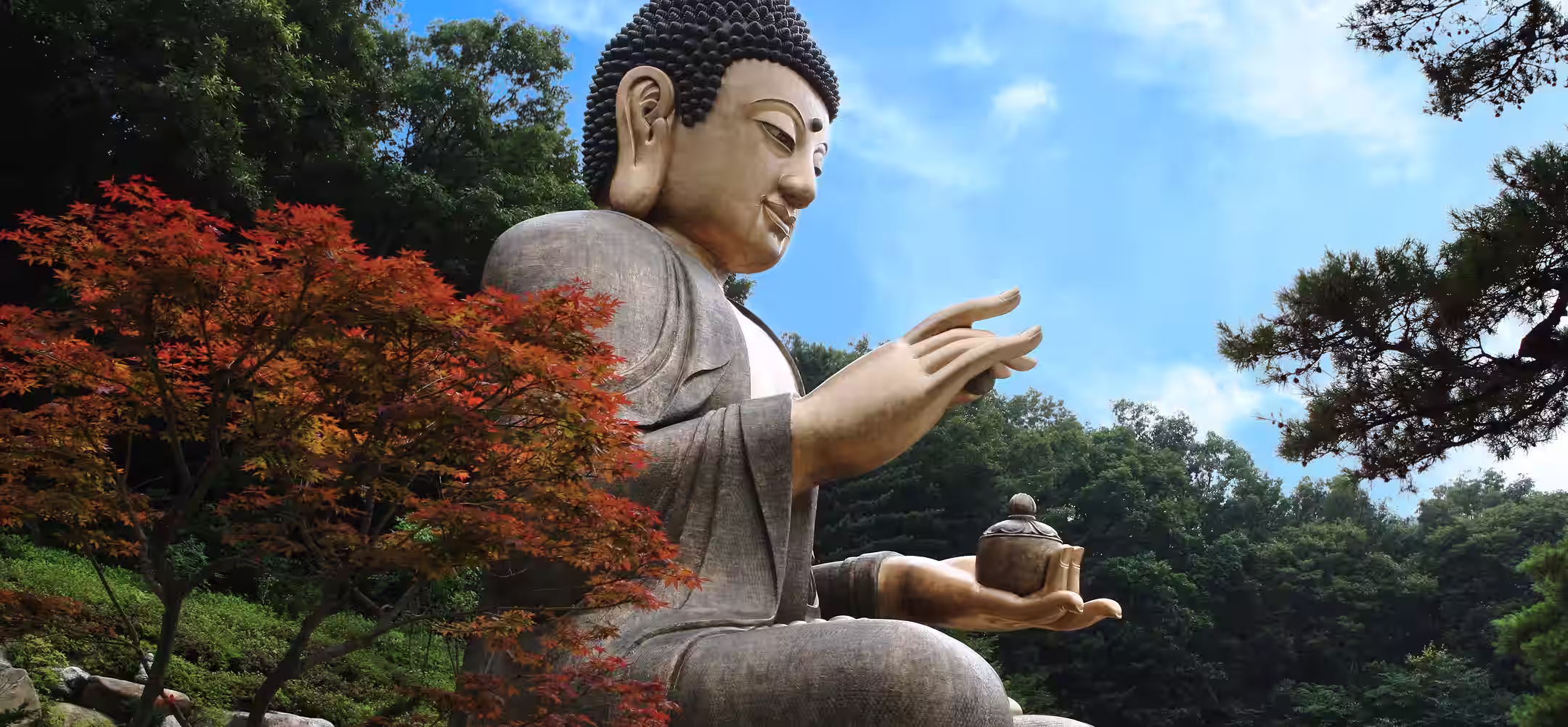 Turn Your Korea Travel Dreams into Reality